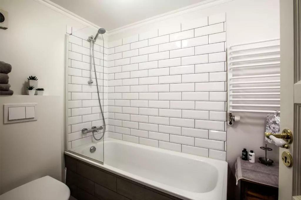 רייקיאוויק Grey Apartments מראה חיצוני תמונה